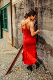Flamenco Dress - Crowdsourced Campaign